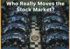 Who Really Moves the Stock Market?