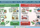 Difference Between Assets and Liabilities