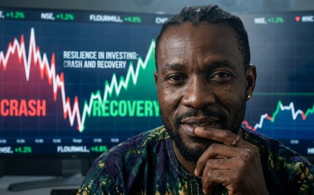 The History of the NGX Stock Market Crashes and How to Protect Yourself from the Next One