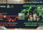 The NGX Market Breaker: Everything a Nigerian Stock Investor Must Know